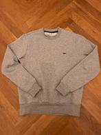 Lacoste grijze trui, Kleding | Heren, Truien en Vesten, Lacoste, Ophalen of Verzenden, Zo goed als nieuw, Grijs