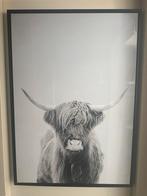 Cow Schilderij Coco Maison, Huis en Inrichting, Ophalen of Verzenden, Zo goed als nieuw, Foto of Poster, 75 cm of meer