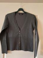 Vest Grijs Maat M Merk Promiss, Maat 38/40 (M), Promiss, Ophalen of Verzenden, Zo goed als nieuw