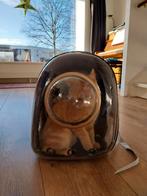 Katten draagtas rugzak, Ophalen of Verzenden, Zo goed als nieuw
