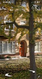 woningruil Amsterdam naar nieuw Sloten, Badhoevedorp, Ophalen of Verzenden, Nieuw