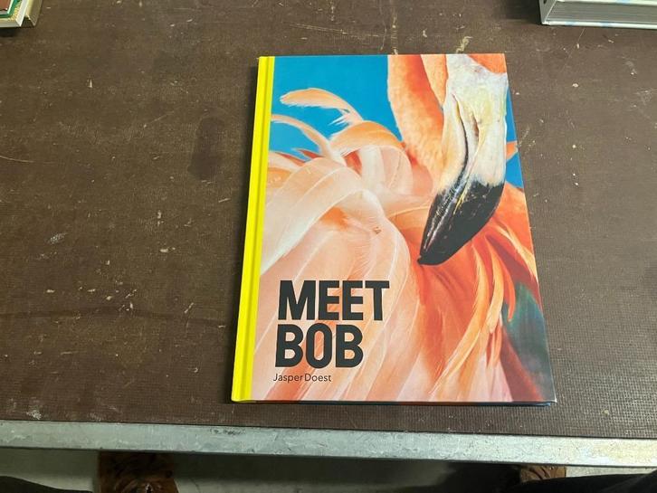 flamengo Curacao milieu natuurbehoud, Boeken, Reisverhalen, Zo goed als nieuw, Zuid-Amerika, Ophalen