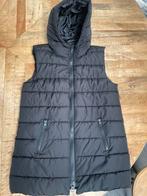 Bodywarmer 158 - 164 meisje zwart, Kinderen en Baby's, Kinderkleding | Maat 158, Ophalen of Verzenden, Nieuw, Meisje, Jas