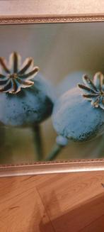 Schilderij met zilveren lijst, Ophalen of Verzenden