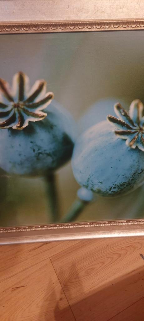 Schilderij met zilveren lijst, Huis en Inrichting, Woonaccessoires | Wanddecoraties, Ophalen of Verzenden