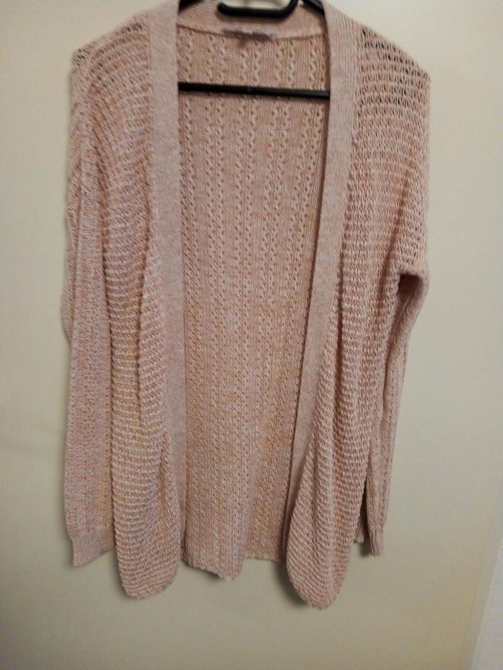 Lang dames vest zalm kleur maat M, Kleding | Dames, Truien en Vesten, Gedragen, Maat 38/40 (M), Roze, Ophalen of Verzenden