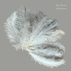Struisvogelveren-hoedenaccessoires-showgirl., Ophalen of Verzenden