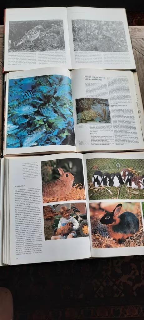 diversen dieren boeken, Boeken, Dieren en Huisdieren, Zo goed als nieuw, Overige diersoorten, Ophalen of Verzenden