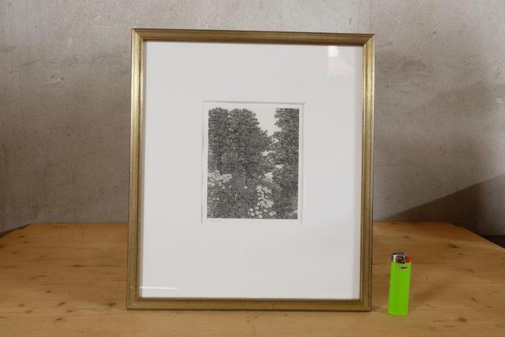 Grafiek - ets van Philip Wiesman - Carvalho, Antiek en Kunst, Kunst | Etsen en Gravures, Ophalen of Verzenden