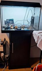 Juwel  aquarium Led 60 Liter, Ophalen, Zo goed als nieuw, Leeg aquarium