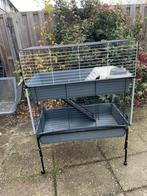 Cavia/konijnen kooi, met toebehoren, Dieren en Toebehoren, Knaagdieren en Konijnen | Hokken en Kooien, Ophalen, Kooi, Gebruikt
