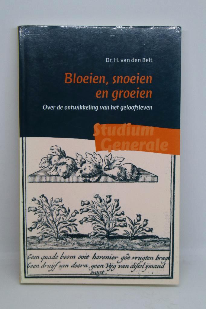 Bloeien, snoeien en groeien - H. van den Belt, Boeken, Godsdienst en Theologie, Zo goed als nieuw, Ophalen of Verzenden
