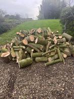 Openhaardhout in stukken, Ophalen of Verzenden, Overige houtsoorten, Blokken