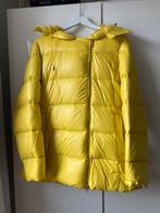 Mooie jas van Violanti, Kleding | Dames, Jassen | Winter, Ophalen of Verzenden, Nieuw, Maat 42/44 (L)