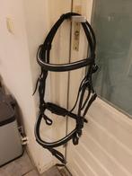 Pagony hoofdstel Full, Dieren en Toebehoren, Paarden en Pony's | Hoofdstellen en Tuigage, Ophalen of Verzenden, Zo goed als nieuw