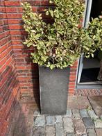 2 maal Stenenbloempot hoog, Tuin en Terras, Bloembakken en Plantenbakken, Ophalen, Steen, Gebruikt, Minder dan 60 cm