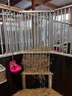 Hooiruif | Slowfeeder A | Weide hooiruif | Ruif | 21, Weidegang, 4 paarden of pony's of meer