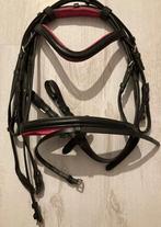 Hoofdstel met teugels maat shetland roze, Ophalen of Verzenden, Nieuw, Dressuur