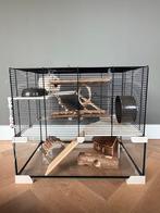 Hamster / knaagdieren hok en alle benodigdheden, Dieren en Toebehoren, Knaagdieren en Konijnen | Toebehoren, Ophalen, Zo goed als nieuw