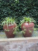 Roze sierpot met planten, Balkon, 40 cm of meer, Rond, Ophalen of Verzenden