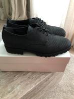 Super mooi zwart schoentje maat 39.5 merk Volare, Kleding | Dames, Schoenen met lage hakken, Zwart, Volare, Nieuw