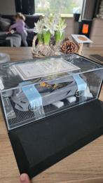 Nieuw Ongeopend Koenigsegg Gemera Modelauto 1/18, Ophalen of Verzenden, Nieuw, Auto, Overige merken