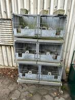 Konijnenkooi-konijnenhok, Dieren en Toebehoren, Minder dan 60 cm, Kooi, 110 cm of meer, Ophalen of Verzenden