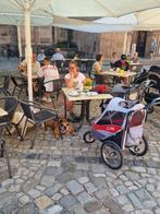 Innopet sporty dogtrailer deluxe, Fietsen en Brommers, Fietsaccessoires | Aanhangers en Karren, Ophalen, Zo goed als nieuw, Hondenkar