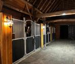 Vakantiestalling voor jouw paard, Dieren en Toebehoren, Stalling en Weidegang, Weidegang, 2 of 3 paarden of pony's