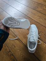 Nieuwe Puma BMW Schoenen Maat 46 (EU 11), Kleding | Heren, Schoenen, Ophalen of Verzenden