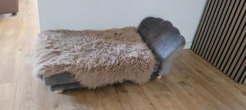 Nieuwe hondenmand/bed beschikbaar voor biedingen