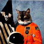 Klaxons - 'Surfing the Void', Ophalen of Verzenden, Zo goed als nieuw