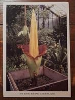 Engeland - Kew - Royal Botanic Gardens, Ophalen of Verzenden, Ongelopen, Engeland