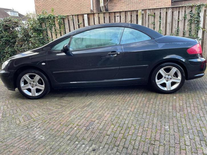 Peugeot 307 CC 2.0-16V, Auto's, Peugeot, Bedrijf, Te koop, ABS, Airbags, Airconditioning, Centrale vergrendeling, Climate control