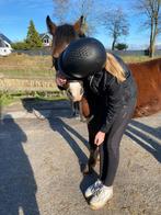 Verzorg/lease/bijrijd pony of paard gezocht, Ophalen of Verzenden