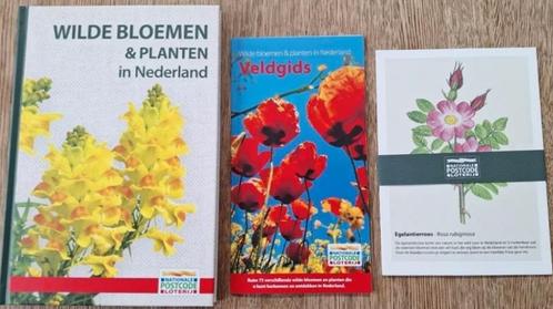 Wilde bloemen & planten in Nederland. Met handige veldgids, Boeken, Natuur, Nieuw, Bloemen, Planten en Bomen, Ophalen of Verzenden