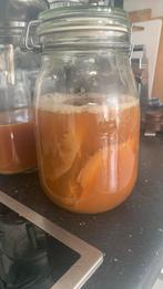Scoby + starter Kombucha, Diversen, Ophalen