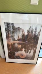 Lijsten (Lomviken) met posters van Ikea, Huis en Inrichting, Ophalen of Verzenden, Zo goed als nieuw, Hout, Minder dan 50 cm