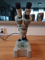 Stereo Microscoop Euromex, Ophalen of Verzenden, Gebruikt, Minder dan 400x, Stereomicroscoop