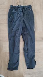 Grijze paardrijbroek te koop merk Pikeur, Dieren en Toebehoren, Paardrijkleding, Ophalen, Gebruikt, Dressuur, Onderkleding