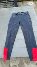 Rijbroek merk QHP, maat 38 - blauw/rood, Bovenkleding, Gebruikt, Ophalen of Verzenden, Dames