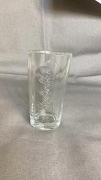 Grolsch glas, Ophalen of Verzenden, Nieuw, Glas of Glazen, Grolsch