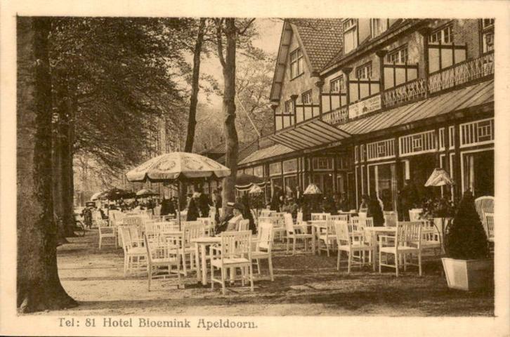 Apeldoorn - Hotel Bloemink, Verzamelen, Ansichtkaarten | Nederland, Ongelopen, Gelderland, Voor 1920, Ophalen of Verzenden