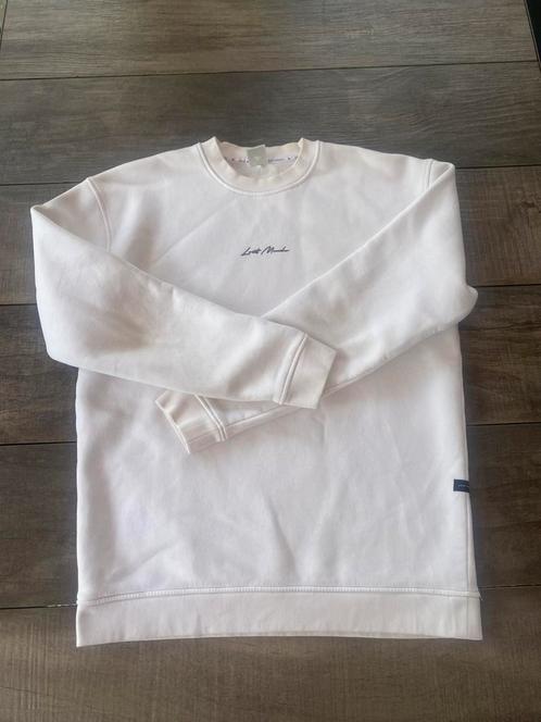 Lost Minds trui wit | Maat S, Kleding | Heren, Truien en Vesten, Zo goed als nieuw, Maat 46 (S) of kleiner, Wit, Ophalen of Verzenden