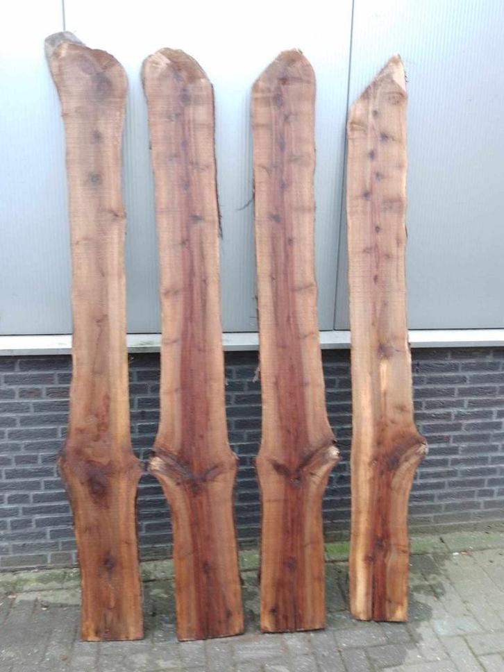 noten schaaldelen, boomstamplanken, notenhout, Doe-het-zelf en Verbouw, Hout en Planken, Nieuw, Plank, Overige houtsoorten, Minder dan 200 cm