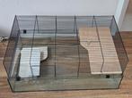 Glazen knaagdierenkooi met veel toebehoren, Dieren en Toebehoren, Ophalen, Zo goed als nieuw, Kooi, Hamster