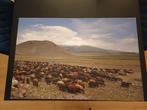 Canvas foto schilderij bergen en schapen (Mount Ararat), Huis en Inrichting, Woonaccessoires | Schilderijen, Tekeningen en Foto's
