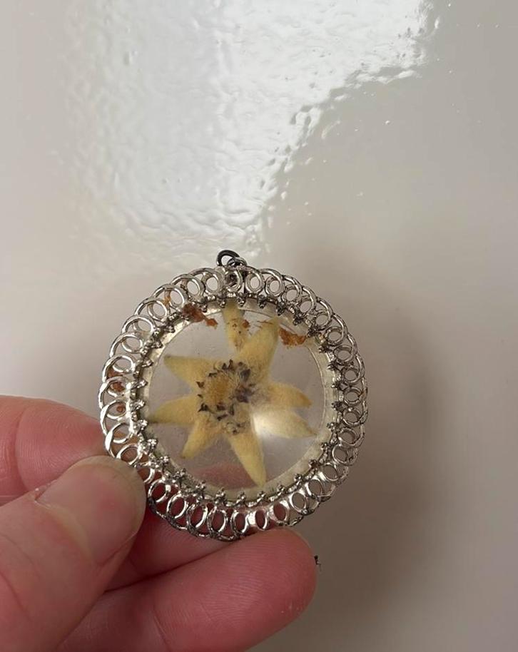 Edelweiss. Antieke hanger. Grote medaille., Sieraden, Tassen en Uiterlijk, Ringen, Zo goed als nieuw, Dame, 20 of groter, Overige kleuren