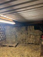 Hooi, Dieren en Toebehoren, Dierenvoeding, Ophalen, Vee