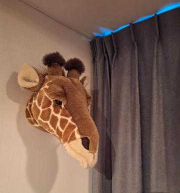 Bibib Dierenkop voor aan de muur olifant en giraf beschikbaar voor biedingen